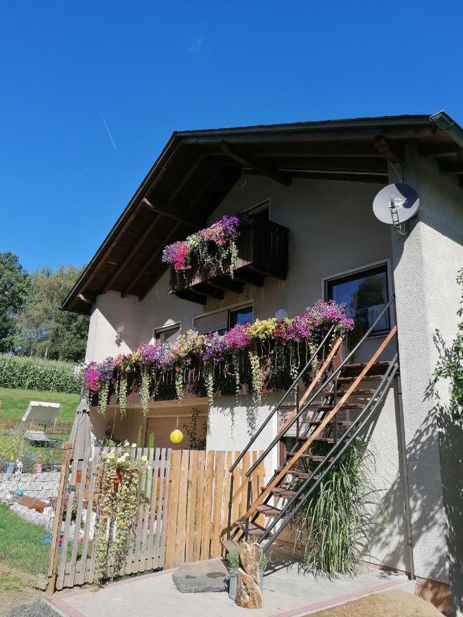 Ferienwohnung Egelkraut Schwarzenbach an der Saale Exterior photo